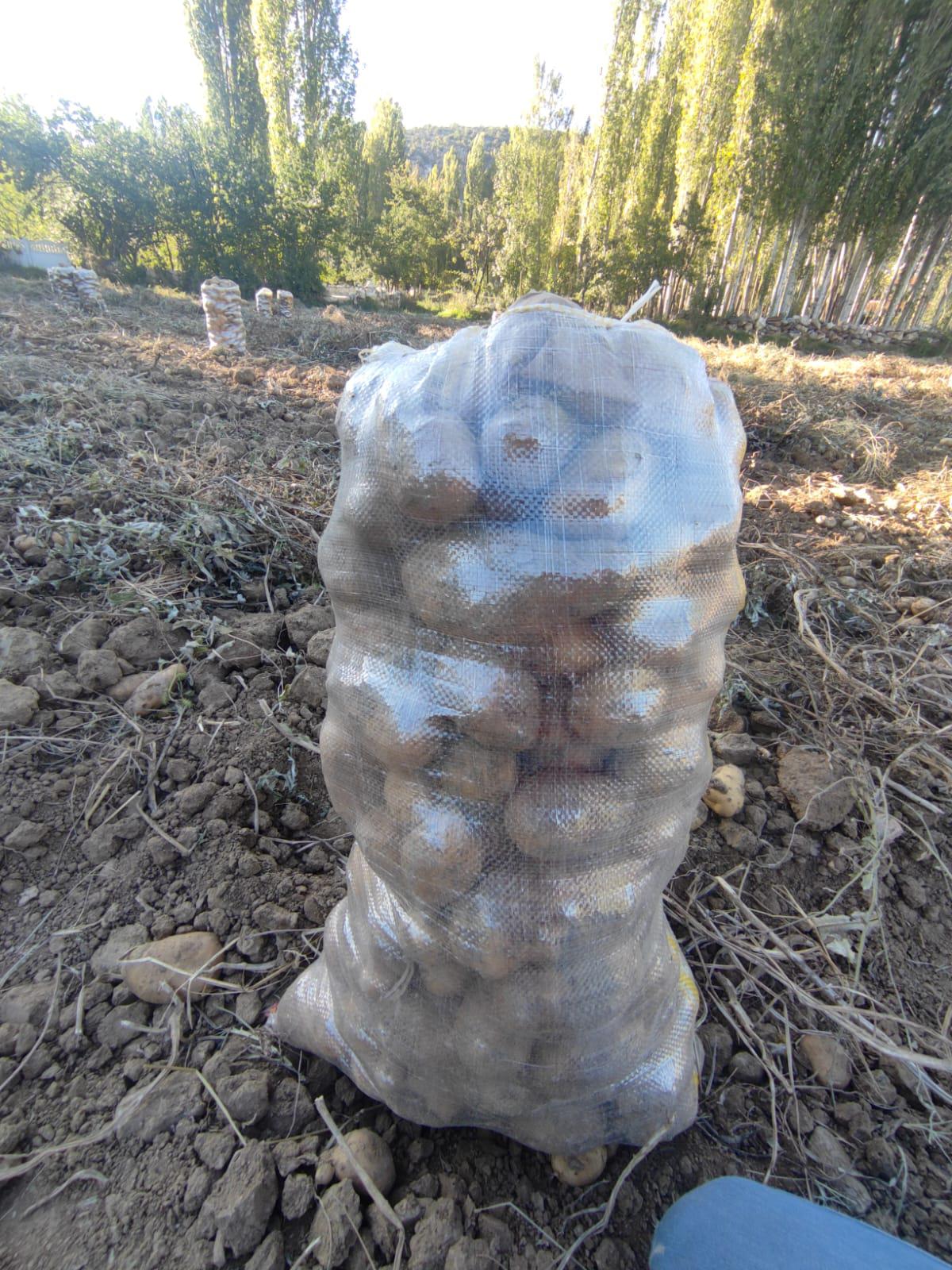 Afyonkarahisar Merkez Satılık Patates